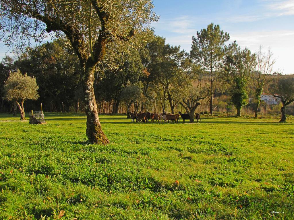 Quinta Do Cerquito Villa Ferreira do Zêzere Exterior foto